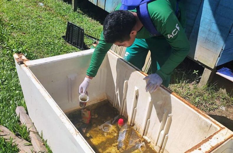 GERAL/Saúde divulga cenário de arboviroses no Amazonas nesta quinta-feira(04)