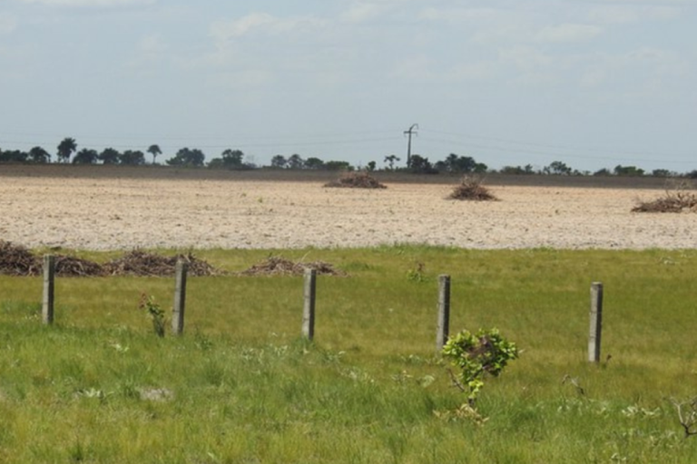 MEIO AMBIENTE/Governo do BRASIL lança sistema para MONITORAMENTO diário da Amazônia