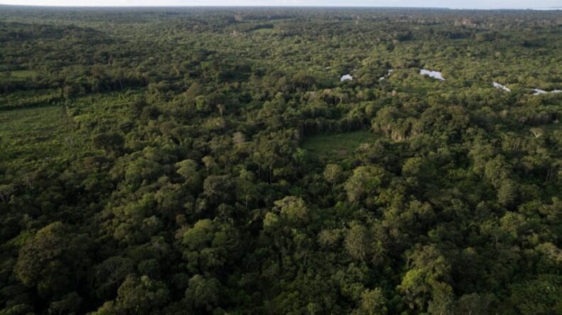 GERAL/Começa nesta terça a “Pré-COP dos Povos e Comunidades Tradicionais” com debates sobre o futuro da Amazônia