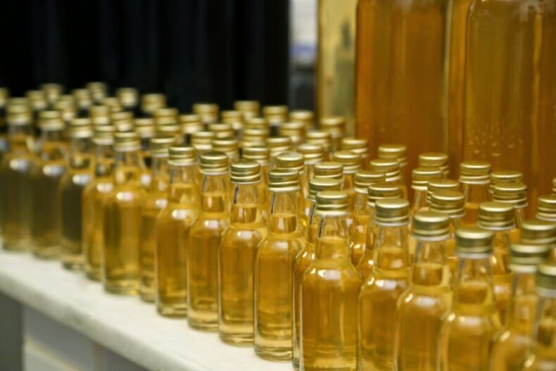 GERAL/Com o apoio do Governo do Amazonas, Manaus sedia Simpósio Brasileiro de ÓLEOS ESSENCIAIS