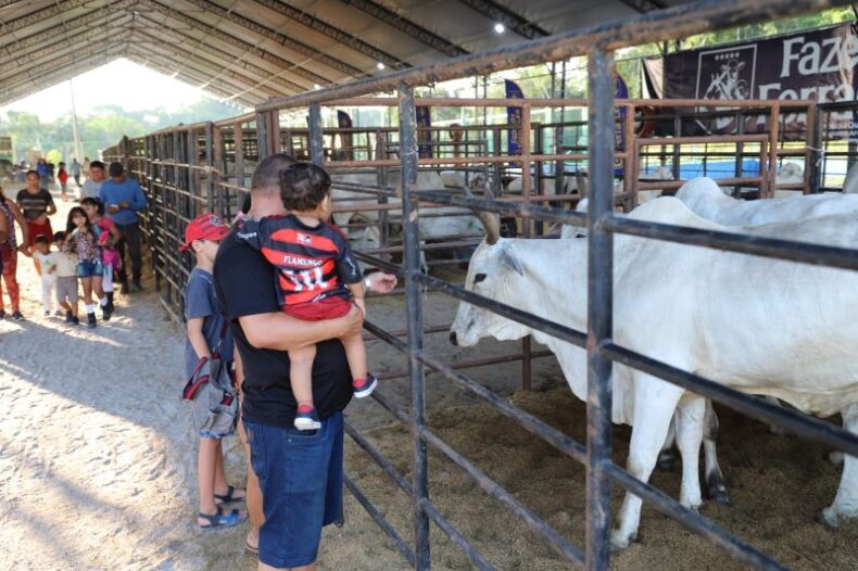 ECONOMIA/EXPOAGRO: Avanço genético e aumento na quantidade de animais em exposição marcam a 47ª edição
