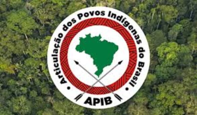 GERAL/APIB promove 1ª Conferência Livre para adequação do Sistema Único de Assistência Social às especificidades dos povos indígenas