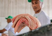 CIDADE/MANAUS tem PIRARUCU sustentável de Mamirauá à venda esta semana