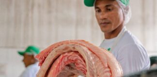 CIDADE/MANAUS tem PIRARUCU sustentável de Mamirauá à venda esta semana