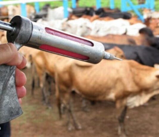 SAÚDE/VACINAÇÃO contra a RAIVA dos ERBÍVOROS se encerra nesta sexta-feira, alerta Adaf