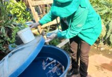 SAÚDE/AMAZONAS mobiliza municípios contra avanço das ARBOVIROSES