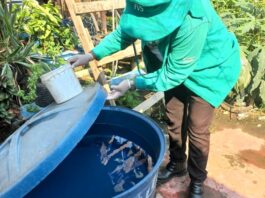 SAÚDE/AMAZONAS mobiliza municípios contra avanço das ARBOVIROSES