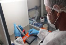 SAÚDE/Monitoramento aponta cenário dos VÍRUS RESPIRATÓRIOS no Amazonas, informa FVS-RCP