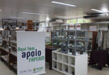 GERAL/Governo do Amazonas apoia exposição de solos, rochas e minerais, em Itacoatiara