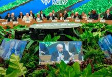 COP30/LULA lança FUNDO FLORESTAS Tropicais para Sempre e faz da conservação um investimento global