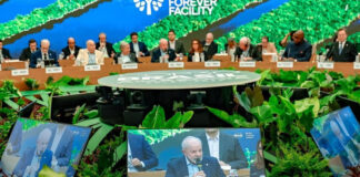 COP30/LULA lança FUNDO FLORESTAS Tropicais para Sempre e faz da conservação um investimento global