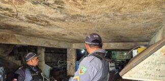 SEGURANÇA/CIF fiscaliza estabelecimentos de SUCATARIAS no Centro e na zona sul de Manaus