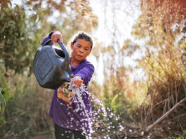 SOBERANIA ALIMENTAR/COP30: Governo do Brasil lança Marco de Sistemas Alimentares e Clima para as Políticas Públicas