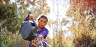 SOBERANIA ALIMENTAR/COP30: Governo do Brasil lança Marco de Sistemas Alimentares e Clima para as Políticas Públicas