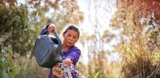 SOBERANIA ALIMENTAR/COP30: Governo do Brasil lança Marco de Sistemas Alimentares e Clima para as Políticas Públicas