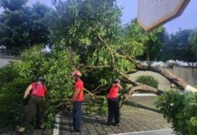 CIDADE/Corpo de BOMBEIROS atendeu 45 ocorrências após forte chuva em Manaus