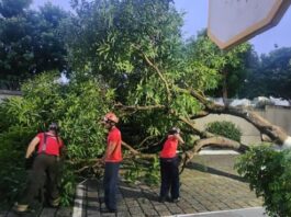 CIDADE/Corpo de BOMBEIROS atendeu 45 ocorrências após forte chuva em Manaus