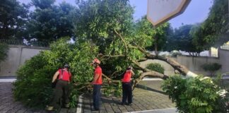 CIDADE/Corpo de BOMBEIROS atendeu 45 ocorrências após forte chuva em Manaus