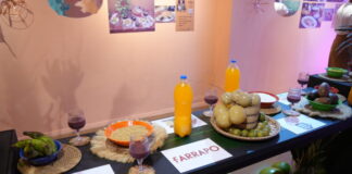 CIDADE/Mostra na GALERIA do LARGO transforma gastronomia em expressão de identidade e memória