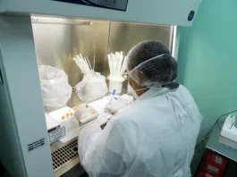 SAÚDE/ESPOROTRICOSE: Amazonas atualiza boletim epidemiológico nesta terça-feira(09)