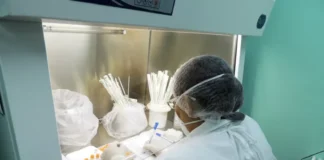 SAÚDE/ESPOROTRICOSE: Amazonas atualiza boletim epidemiológico nesta terça-feira(09)