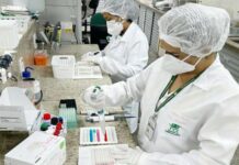 SAÚDE/ESPOROTRICOSE 2025: Amazonas atualiza boletim epidemiológico e reforça protocolo de notificação