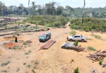 GERAL/Operação Região Metropolitana 2025: IPAAM aplica R$ 30,6 milhões em multas por crimes ambientais