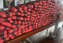 GERAL/Polícia Militar/AM apreende 193 tabletes de SKUNK e prende cinco pessoas durante ação fluvial