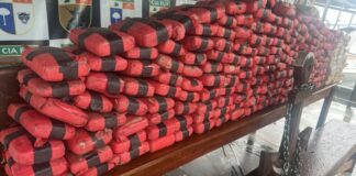 GERAL/Polícia Militar/AM apreende 193 tabletes de SKUNK e prende cinco pessoas durante ação fluvial