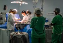 SAÚDE/Primeira doação de órgãos do ano assegura a realização de três transplantes na rede estadual