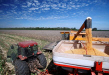 CRÉDITO RURAL/Programas do PLANO SAFRA 2025-26 recebem mais de R$ 15,3 bilhões em recursos do BNDES