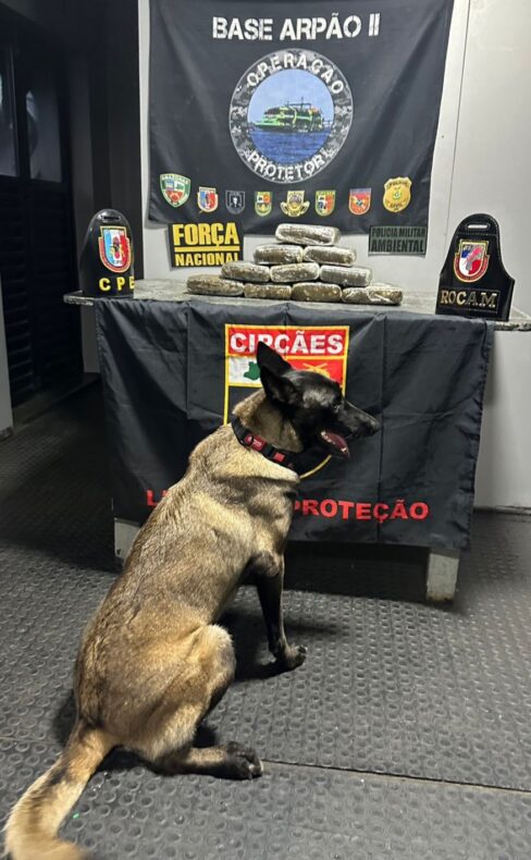 SSP-AM_APREENSÃO_BASE_ARPÃO_FOTO_DIVULGAÇÃO_SSP_AM (1)