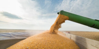 AGRICULTURA/Brasil atinge novo recorde na safra de grãos, com 346,1 milhões de toneladas em 2025