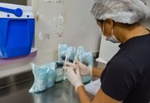 SAÚDE/BAIXOS ESTOQUES: Bancos de Leite Humano das maternidades do apelam por doação