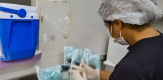 SAÚDE/BAIXOS ESTOQUES: Bancos de Leite Humano das maternidades do apelam por doação