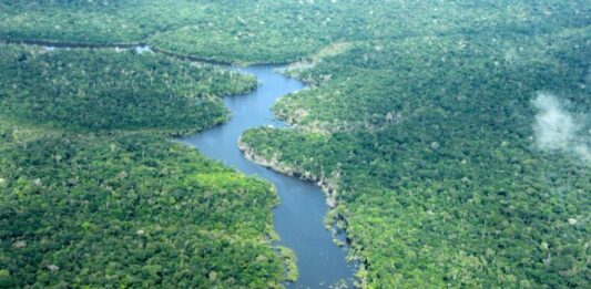 MEIO AMBIENTE/Desmatamento no Amazonas cai 56,4% em janeiro de 2026, aponta INPE