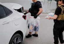 SEGURANÇA/Operação NEGÓCIO TuRVO: membros de organização criminosa são presos por golpes financeiros avaliados em mais de R$ 75 milhões