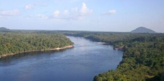 GERAL/Fapeam e Fapesp recebem projetos de pesquisa sobre valorização da sociobiodiversidade amazônica