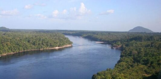 GERAL/Fapeam e Fapesp recebem projetos de pesquisa sobre valorização da sociobiodiversidade amazônica