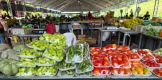 CIDADE/Feira de Produtos Regionais: ADS realiza 12 edições na primeira semana de março