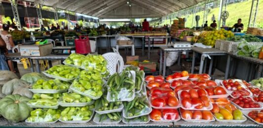 CIDADE/Feira de Produtos Regionais: ADS realiza 12 edições na primeira semana de março