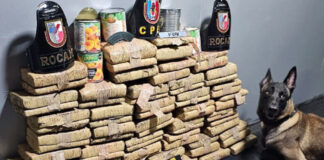 CIDADE/AMAZONAS dobra apreensões de DROGAS no primeiro bimestre de 2026