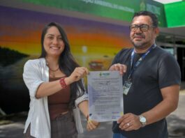 PESCA/IPAAM autoriza pesca manejada de 15 mil larvas e alevinos de aruanã branco na RESERVA MAMIRAUÁ