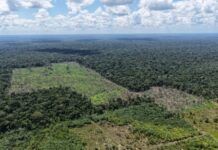 GERAL/Primeira etapa da OPERAÇÃO TAMOIOTATÁ 6 chega ao fim com mais de R$ 28,2 milhões em multas