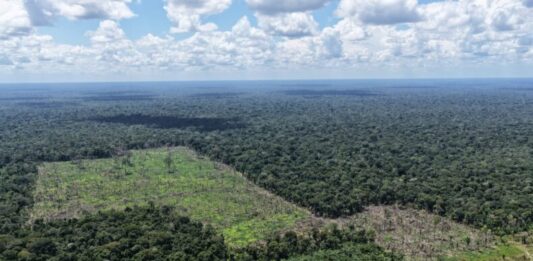 GERAL/Primeira etapa da OPERAÇÃO TAMOIOTATÁ 6 chega ao fim com mais de R$ 28,2 milhões em multas