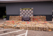 DROGAS/Recorde de apreensão: PMAM retira de circulação 10,6 toneladas de entorpecentes em fevereiro