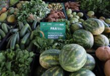 GERAL/EDITAL do PAA beneficiando agricultores familiares indígenas e comunidades tradicionais vale a partir desta terça-feira