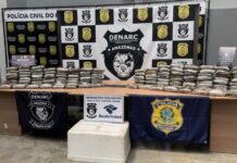 DROGAS/PC-AM intercepta 150 quilos de maconha que seriam enviados ao Pará em semirreboque