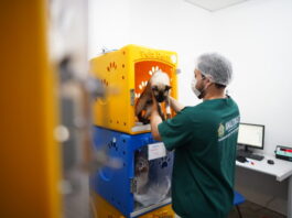 GERAL/HPVET-AM alcança mais de 33 mil animais atendidos e reforça importância da saúde animal no Amazonas
