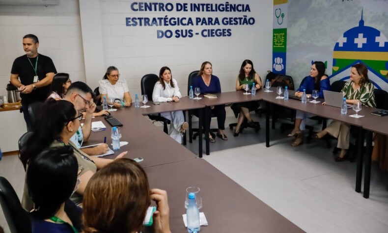 SES-AM_Oficina_Estado, Ministério da Saúde e Conass2